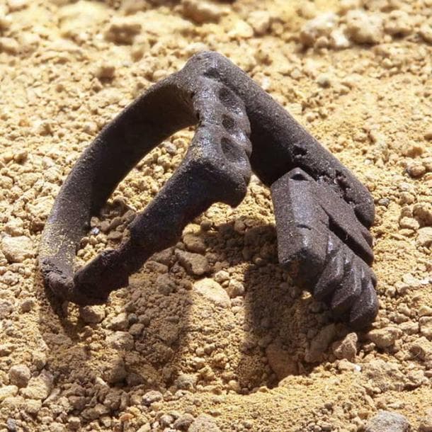 The Annulis Pronubus with the Key of the Household