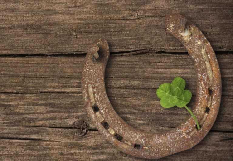 The Lucky, Protective Powers of The Horseshoe